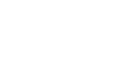 Laia, The AI & IoT Camera Company